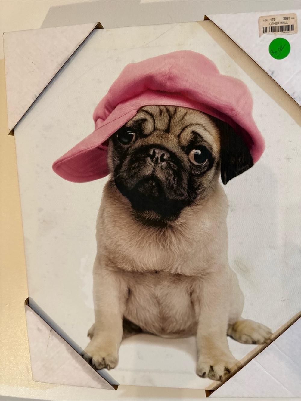 Cute Pug Wall Art - Pink Hat Puppy Print